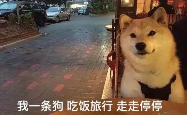 今晚买四不像必中一肖，专家解答解释落实策略之道,今晚买四不像必中一肖,专家解答解释落实_c616.34.50